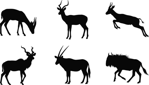 African Antelope and Gazelle Silhouette Vector Icon Set Featuring Oryx Wildebeest Kudu Impala and Springbok Wild Safari Animals