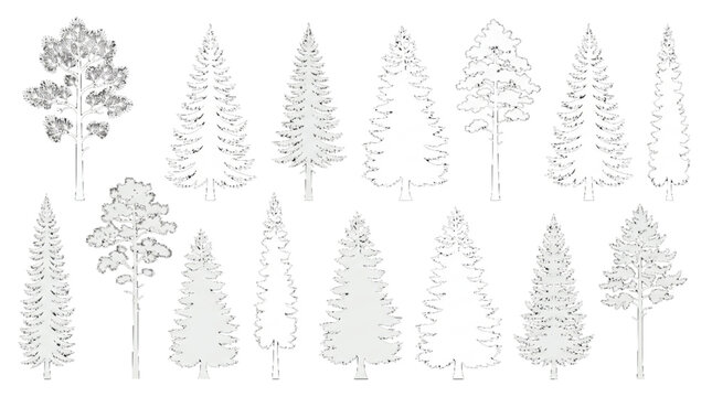Diverse Pine Tree Outline Collection for Architecture CAD Drawings and Site Plans