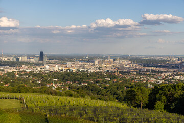 Fototapeta premium scenic panoramic skysline of Vienna