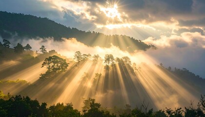 Golden sunbeams pierce through misty clouds illuminating a lush forest on a serene mountain landscape. © zahra