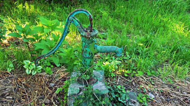 Vintage green hand pump surrounded by lush green grass and plants  