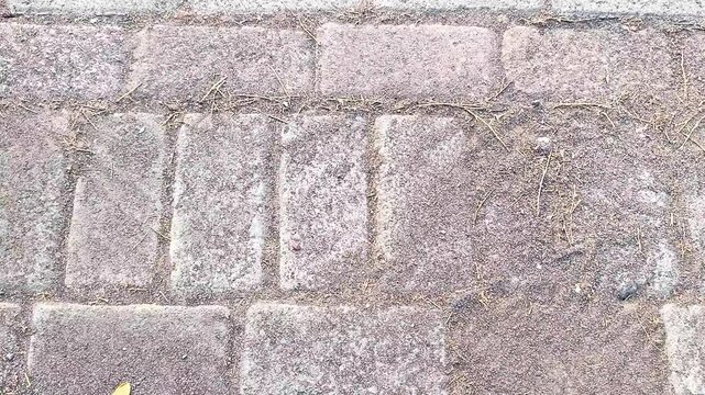 Close up background texture of concrete paving blocks on the sidewalk