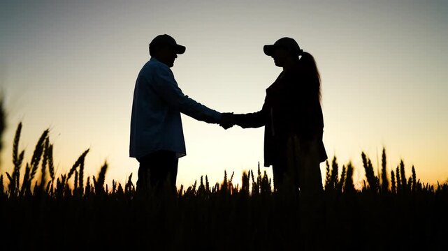 woman reviewing tablet while standing in wheat field., woman collaborating with tablet in rolling wheat field., farmer man and woman monitor tablet for wheat harvest planning., farmer woman and man