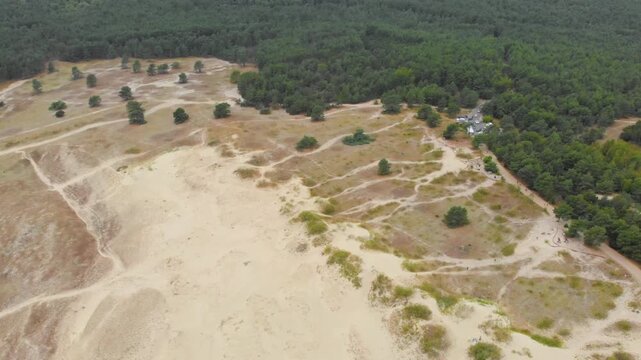 An aerial shot captures the stark contrast between a vast, sandy dune area, characteristic of inland drifting sand landscapes, and a dense, green pine forest. Winding paths crisscross the terrain, lea
