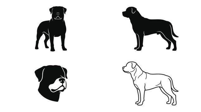 Set of four Rottweiler dog illustrations in various poses and styles.