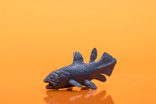 Coelacanth Toy Figure Photographed on Colored Background &mdash; Living Fossil Marine Life