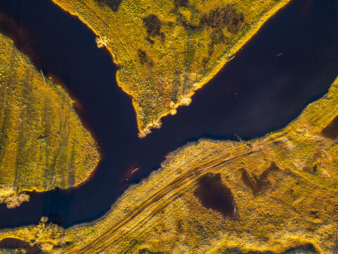 Aerial view of Soomaa National Park showing the winding river flowing through the golden marshlands and meadows of Riisa, Parnu County, Estonia.