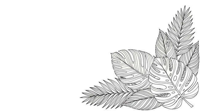 Monstera and Palm Leaves Corner Border Illustration, Black and White Line Art Tropical Foliage