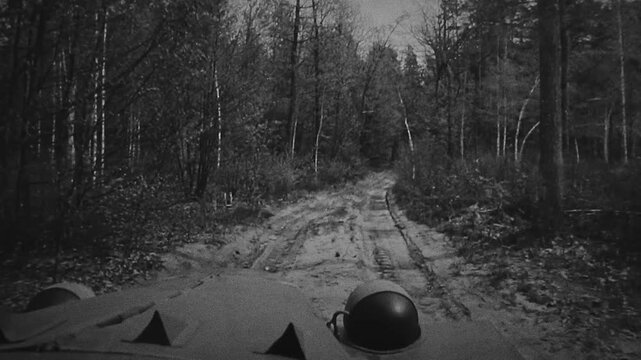 View from Military Vehicle on Dirt Path Through Forested Area