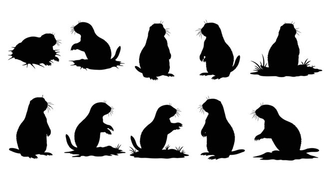 Detailed silhouettes of moles in various poses on grassy terrain against a plain backdrop in image-521.ai