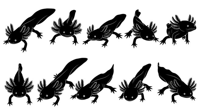 A group of nine black salamander silhouettes are crawling on a plain surface in different directions.