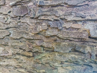 Fototapeta premium stone wall texture