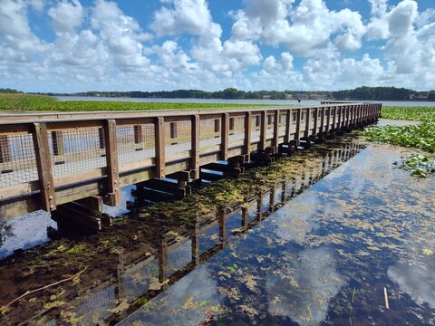 Lake Tarpon is the largest freshwater lake in the Tampa Bay area, covering over 2,500 acres. Located in Pinellas County near Tarpon Springs and Palm Harbor