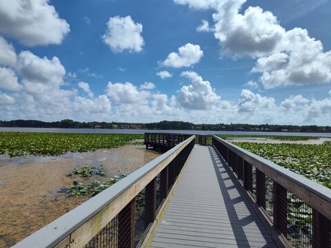 Lake Tarpon is the largest freshwater lake in the Tampa Bay area, covering over 2,500 acres. Located in Pinellas County near Tarpon Springs and Palm Harbor