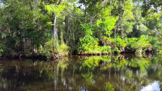 John Chesnut Sr park close to Lake Tarpon. Lake Tarpon is the largest freshwater lake in the Tampa Bay area, covering over 2,500 acres. Located in Pinellas County near Tarpon Springs and Palm Harbor