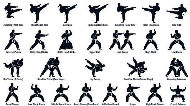 Martial arts silhouettes showing various kicks punches and throws