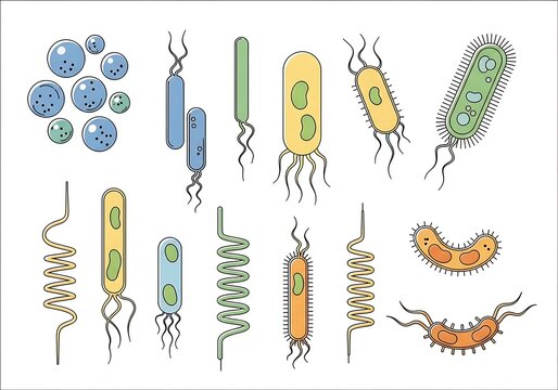Colorful Bacteria Illustration in Various Shapes and Forms