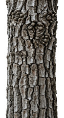 Fototapeta premium Close-up of tree bark with face pattern