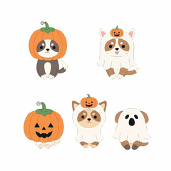 Fototapeta premium Cute dogs wear Halloween costumes sitting with pumpkins on heads