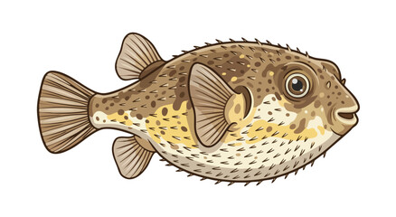 Detailed illustration of a puffer fish with intricate patterns © colorshapppy