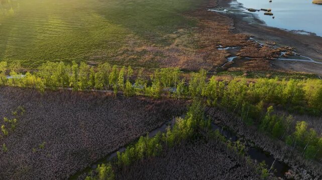Aerial view of the wetlands and lush greenery in Otaniemi, Espoo, Uusimaa, Finland.