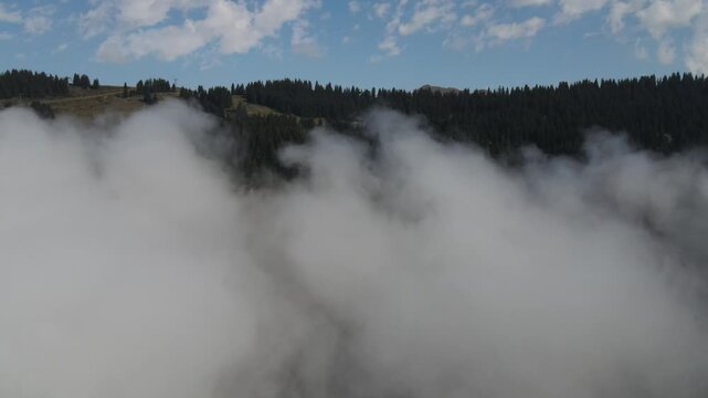 Aerial view of dense clouds rolling over the pine-covered slopes of the French Alps in Chamonix, Auvergne-Rhone-Alpes, France.