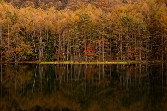 紅葉風景写真、日本の秋季節