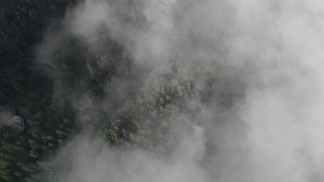 Aerial view of the French Alps forest partially obscured by thick clouds in Chamonix, Auvergne-Rhone-Alpes, France.