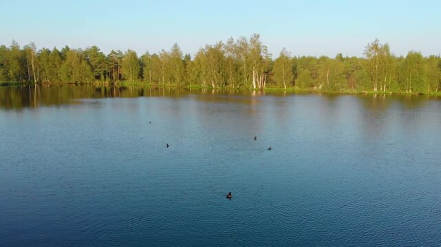 An aerial, high angle shot capturing the peaceful beauty of a large, calm lake in the Lithuanian countryside during the golden hour. The water reflects the clear blue sky and the lush green forest lin