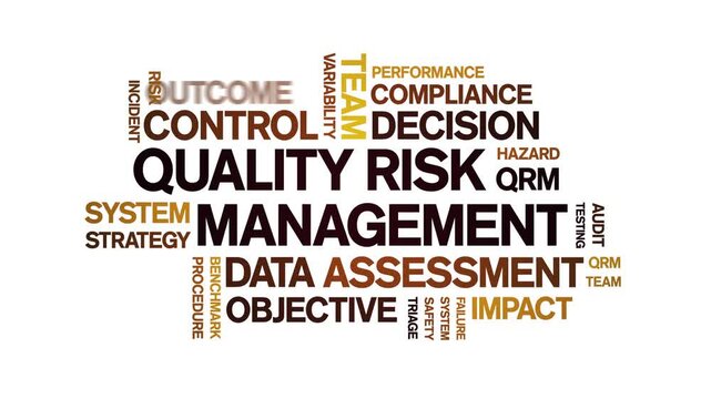 Quality Risk Management animated word cloud-text design animation tag kinetic typography seamless loop.