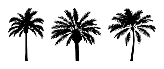 Obraz premium Palm tree set with black silhouette design featuring tropical, summer, island with nature and paradise