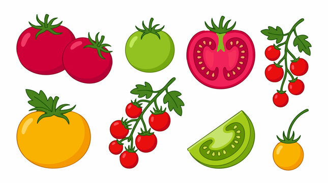 Collection of cartoon tomatoes: red, green, yellow, whole, sliced, on vine