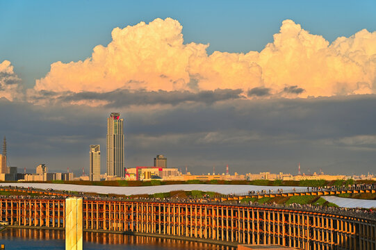 Massive Wooden Ring Structure and Osaka City Skyline Under Dramatic Sunset Cumulonimbus Clouds in Japan