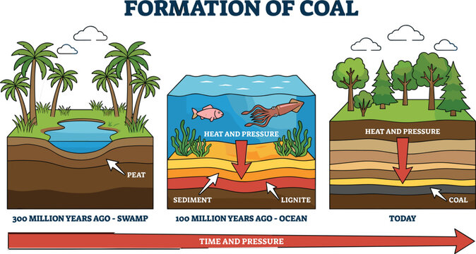 Formation of coal geological process diagram showing swamp peat lignite sediment layers and heat pressure timeline