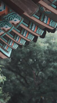 Close up vertical view of traditional Korean dancheong eaves with raindrops falling in fresh rain - 비 내리는 날 화려한 단청 처마 끝으로 투명한 빗줄기가 고즈넉하게 떨어지는 한국 전통 건축 풍경