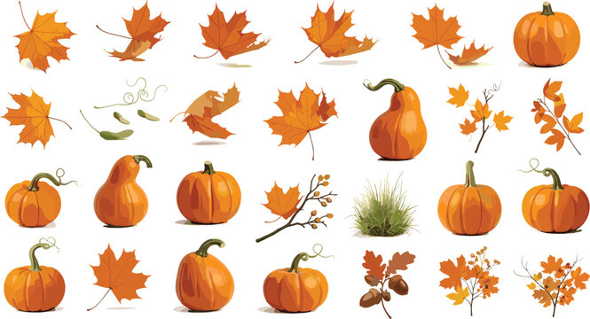 Autumn Thanksgiving Vector Element Set Featuring Orange Pumpkins Squash Maple Leaves Oak Acorns and Fall Branches for Seasonal Harvest Greeting Card Designs