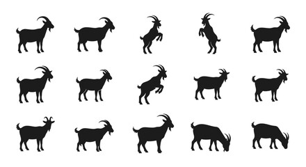 Fototapeta premium A group of goats are standing and jumping in a field.