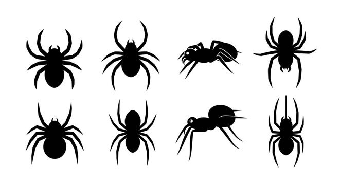Eight black spider silhouettes are crawling on a white background