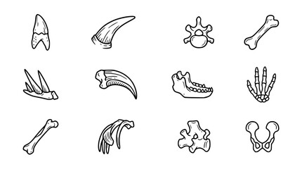 Dinosaur fossil icons: teeth, claws, bones, skeleton parts, jaw, pelvis © Teh