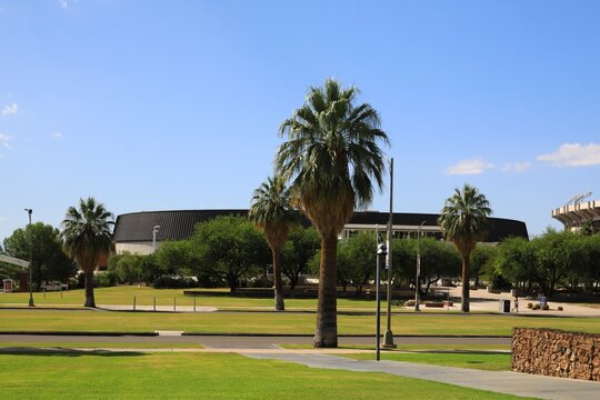 University of Arizona Basketball Arena