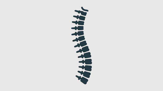 Black silhouette illustration of a human spinal column showing individual vertebrae on a light gray background for chiropractic and orthopedic.
