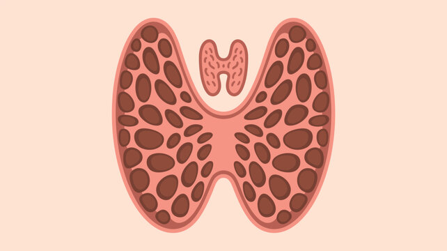 Medical illustration showing the thyroid and parathyroid glands on a light pink background for endocrine system health and education for study.
