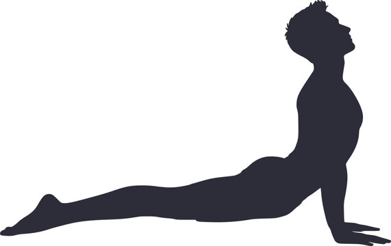 Cobra pose yoga stretch silhouette a black vector illustration on white background