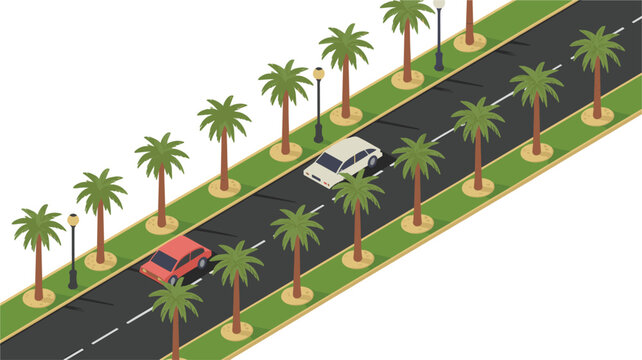 Isometric palm tree boulevard vector illustration, urban roadway with vehicles tropical landscaping and street lighting