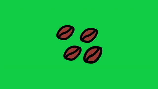 Coffee beans roasting doodle animation for barista tutorial vlogs green screen background