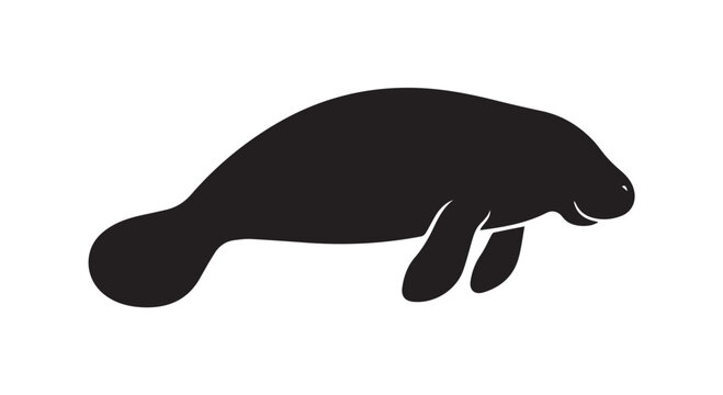 Manatee Silhouette: A striking black silhouette of a manatee, a gentle marine mammal, floats serenely, showcasing its distinctive rounded body and paddle-like tail.
