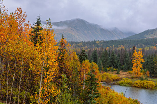 Autumn foliage in Alaskan wilderness with mountains and river
