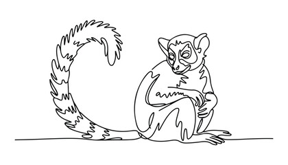 One continuous line illustration of an ring-tailed lemur animal , isolated on white background. © line