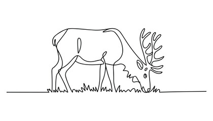 One continuous line illustration of an elk animal , isolated on white background. © line