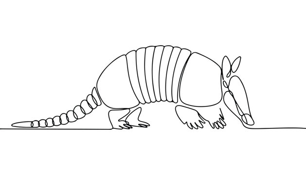 One continuous line illustration of an armadillo animal , isolated on white background.